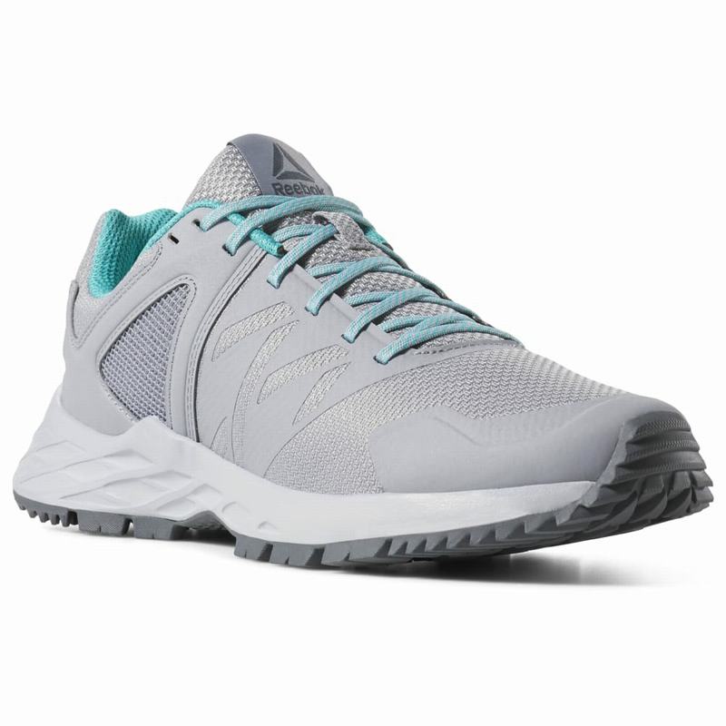 Bocanci Munte Reebok Astroride Trail Dama Gri/Turcoaz Romania GU2829IS
